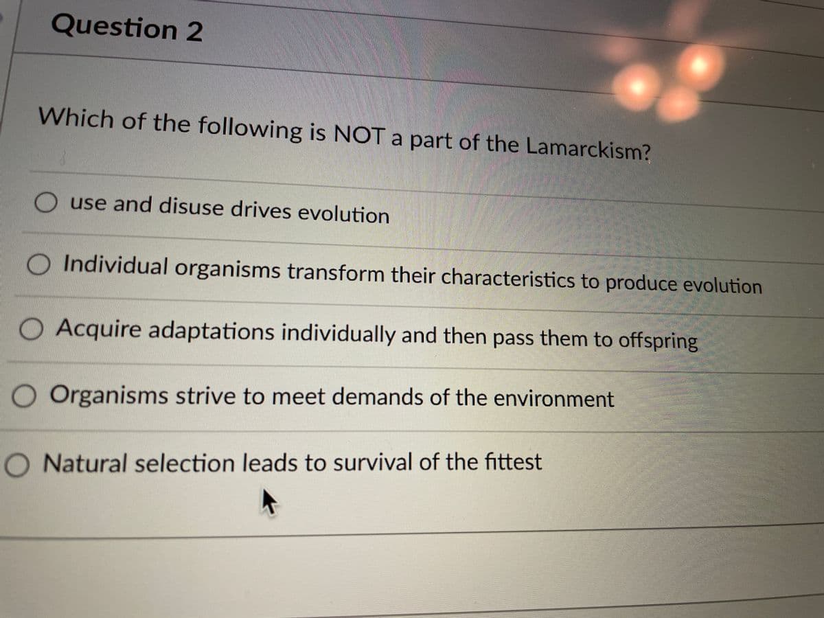 Question 2
Which of the following is NOT a part of the Lamarckism?
use and disuse drives evolution
O Individual organisms transform their characteristics to produce evolution
O Acquire adaptations individually and then pass them to offspring
O Organisms strive to meet demands of the environment
O Natural selection leads to survival of the fittest
