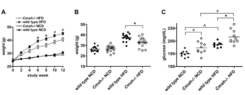 A
weight (g)
Cmah-/- HFD
--wild type HFD
50- -Cmah-/-NCD
-wild type NCD
40-
30-
20+
0
2
6 8 10 12
study week
B
weight (g)
50-
40-
30-
20-
10-
wild type NCD
40
0.
Cmah-/-NCD
wild type HFD
Cmah-/-HFD
C
250-
E.
200-
150-
100-
glucose (mg/dL)
wild type NCD
0
Cmah-/- NCD
wild type HFD
Cmah-/- HFD