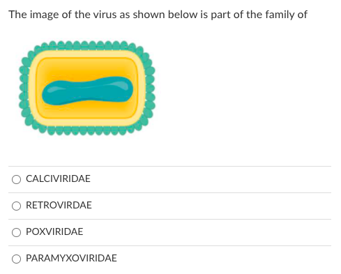 The image of the virus as shown below is part of the family of
O CALCIVIRIDAE
RETROVIRDAE
O POXVIRIDAE
PARAMYXOVIRIDAE
