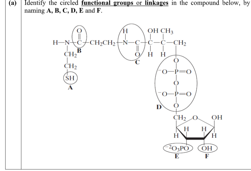 (a) Identify the circled functional groups or linkages in the compound below, by
naming A, B, C, D, E and F.
ОН СНЗ
H-N+C+CH2CH2-Ñ-C+ċ-c-CH2
В
CH2
O/ H H
CH2
0-Þ=0
SH
A
0–Þ=0
D
CH2 0
OH
ΚΗ
H
H
(203PÓ
ОН
E
F

