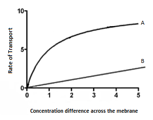 107
A
B
0-
2
3
5
Concentration difference across the mebrane
Rate of Transport
