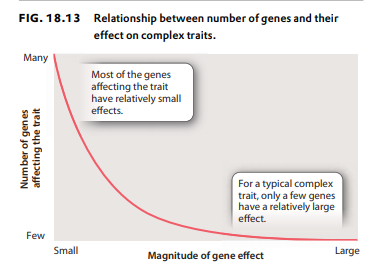 FIG. 18.13 Relationship between number of genes and their
effect on complex traits.
Many
Most of the genes
affecting the trait
have relatively small
effects.
For a typical complex
trait, only a few genes
have a relatively large
effect.
Few
Small
Large
Magnitude of gene effect
Number of genes
affecting the trait
