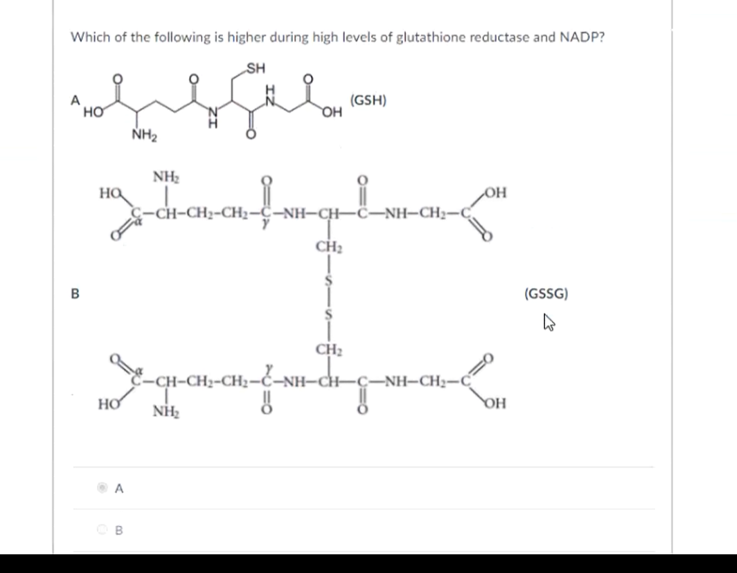 Which of the following is higher during high levels of glutathione reductase and NADP?
SH
A
но
(GSH)
OH
NH2
NH2
HO
OH
;-CH-CH2-CH2-C-NH-CH–ċ–NH–CH2-
CH2
В
(GSSG)
CH2
-CH-CH;-CH2=C-NH–C
NH-CH–Ç-NH-CH2-C
HO
OH
NH2
