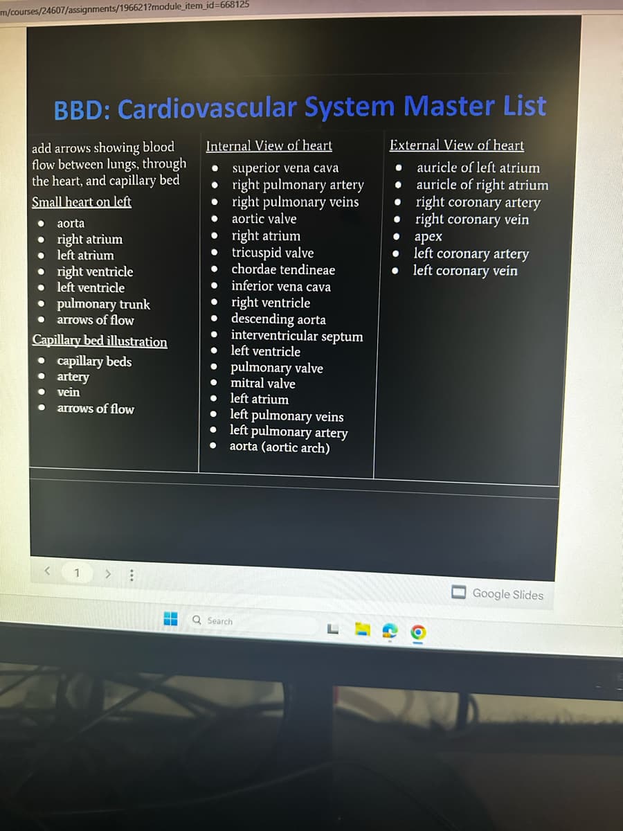 m/courses/24607/assignments/196621?module_item_id=668125
BBD: Cardiovascular System Master List
add arrows showing blood
flow between lungs, through
the heart, and capillary bed
Small heart on left
External View of heart
• auricle of left atrium
● auricle of right atrium
• right coronary artery
right coronary vein
●
apex
left coronary artery
● left coronary vein
●
aorta
•
right atrium
• left atrium
• right ventricle
• left ventricle
• pulmonary trunk
● arrows of flow
Capillary bed illustration
• capillary beds
• artery
• vein
arrows of flow
< 1 > :
‒‒
‒‒
Internal View of heart
• superior vena cava
right pulmonary artery
right pulmonary veins
aortic valve
right atrium
tricuspid valve
chordae tendineae
●
•
•
• inferior vena cava
• right ventricle
• descending aorta
interventricular septum
left ventricle
●
• pulmonary valve
• mitral valve
•
left atrium
•
left pulmonary veins
• left pulmonary artery
● aorta (aortic arch)
Q Search
J
L
61
0
Google Slides