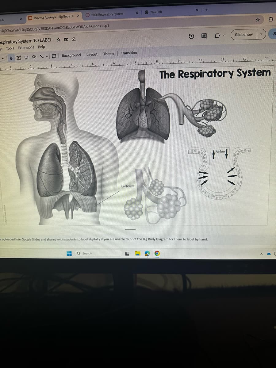 Bub
X
T
1RjFChcWwll5L0qN5QUq9V3BSDAFFwonOGrRzgGYkfQU/edit#slide-id.p1
espiratory System TO LABEL
ge Tools Extensions Help
1
Vanessa Adekoya - Big Body Di X
²
BBD: Respiratory System
9 Background Layout
\
Y
3
5
Q Search
Theme Transition
6
X
diaphragm
PROM
New Tab
109
+
E
10
e uploaded into Google Slides and shared with students to label digitally if you are unable to print the Big Body Diagram for them to label by hand.
Slideshow
11 12
Airflow
☆
The Respiratory System
O
13
