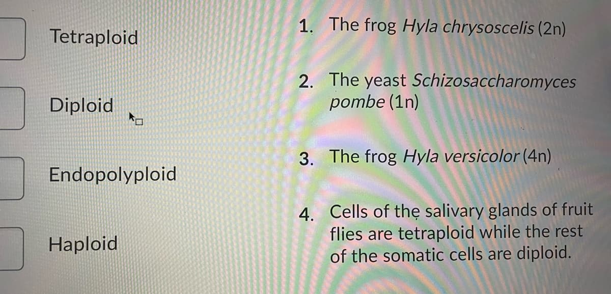 1. The frog Hyla chrysoscelis (2n)
Tetraploid
2. The yeast Schizosaccharomyces
pombe (1n)
Diploid
ロ
3. The frog Hyla versicolor (4n)
Endopolyploid
4. Cells of thẹ salivary glands of fruit
flies are tetraploid while the rest
of the somatic cells are diploid.
Haploid
