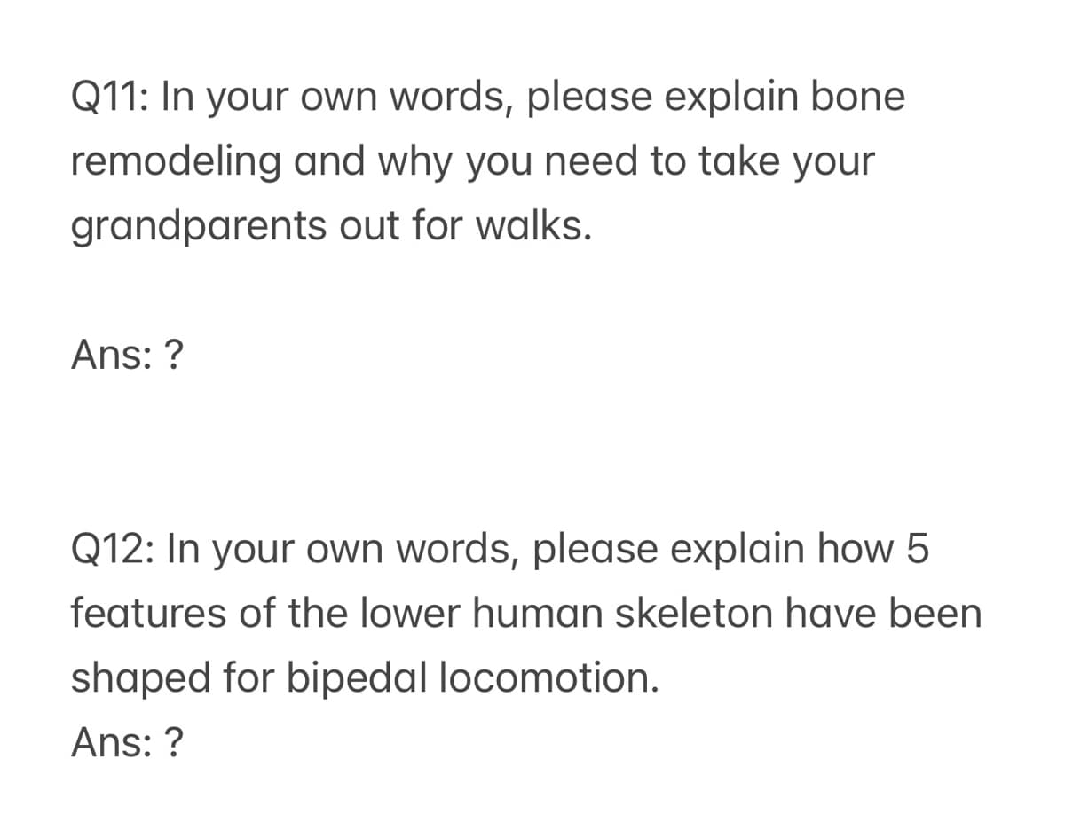 Q11: In your own words, please explain bone
remodeling and why you need to take your
grandparents out for walks.
Ans: ?
Q12: In your own words, please explain how 5
features of the lower human skeleton have been
shaped for bipedal locomotion.
Ans: ?
