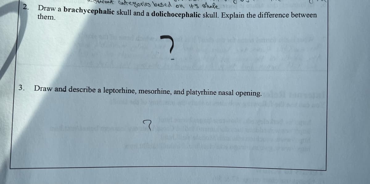 2.
Categories besed on its shale
Draw a brachycephalic skull and a dolichocephalic skull. Explain the difference between
them.
3.
Draw and describe a leptorhine, mesorhine, and platyrhine nasal opening.
?