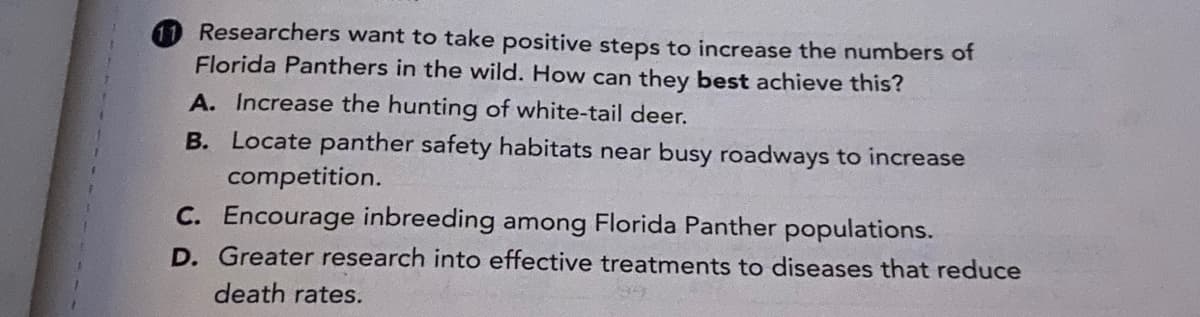 Researchers want to take positive steps to increase the numbers of
Florida Panthers in the wild. How can they best achieve this?
A. Increase the hunting of white-tail deer.
B. Locate panther safety habitats near busy roadways to increase
competition.
C. Encourage inbreeding among Florida Panther populations.
D. Greater research into effective treatments to diseases that reduce
death rates.
