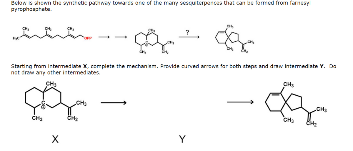 Below is shown the synthetic pathway towards one of the many sesquiterpences that can be formed from farnesyl
pyrophosphate.
CH3
CH3
CH3
CH
?
CH3
CH3
OPP
CH3
H3C
CH3
CH2
CH3
CH,
Starting from intermediate x, complete the mechanism. Provide curved arrows for both steps and draw intermediate Y. Do
not draw any other intermediates.
CH3
CH3
.CH3
CH3
CH3
CH2
CH3
CH2
Y
X
