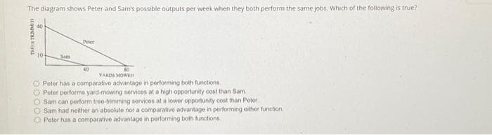 The diagram shows Peter and Sam's possible outputs per week when they both perform the same jobs. Which of the following is true?
TREES TRIMMED
40
10- Sam
Peter
40
80
YARDS MOWED
O Poter has a comparative advantage in performing both functions.
O Peter performs yard-mowing services at a high opportunity cost than Sam
O Sam can perform tree-trimming services at a lower opportunity cost than Peter.
O Sam had neither an absolute nor a comparative advantage in performing either function
O Peter has a comparative advantage in performing both functions.