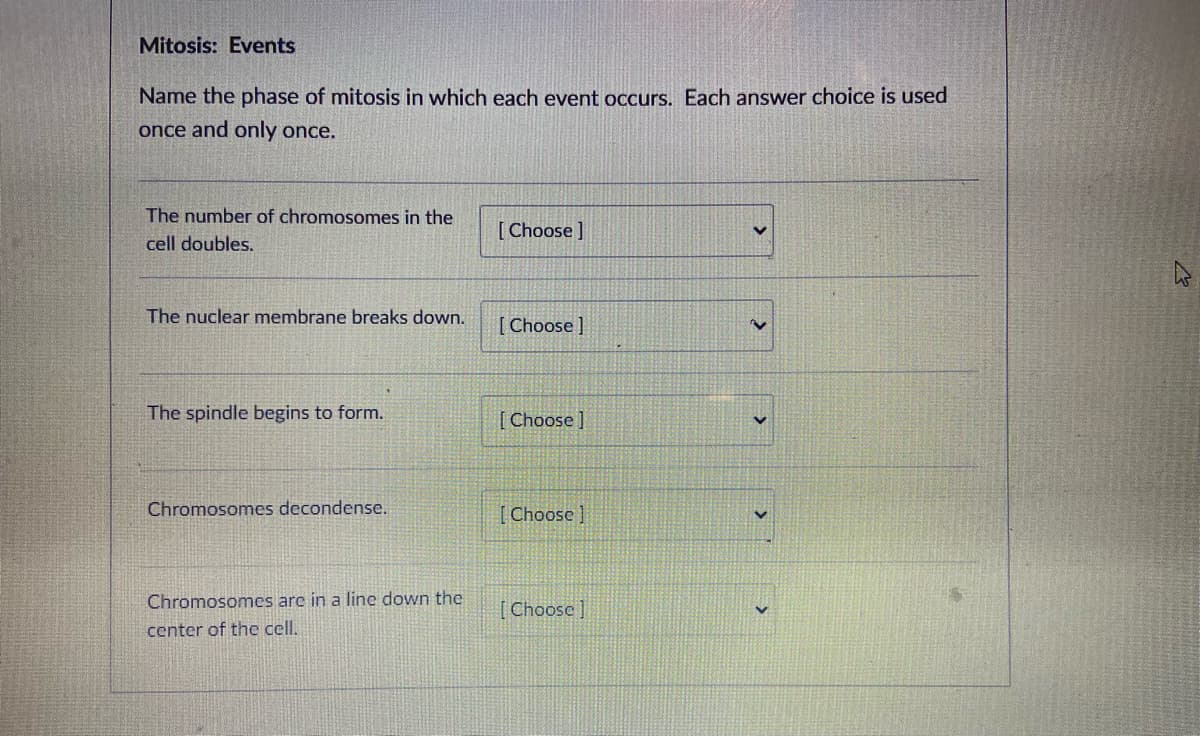 Mitosis: Events
Name the phase of mitosis in which each event occurs. Each answer choice is used
once and only once.
The number of chromosomes in the
[ Choose ]
cell doubles,.
The nuclear membrane breaks down.
[Choose ]
The spindle begins to form.
[ Choose ]
Chromosomes decondense.
[Choose ]
Chromosomes are in a line down the
[Choosc ]
center of the cell.
