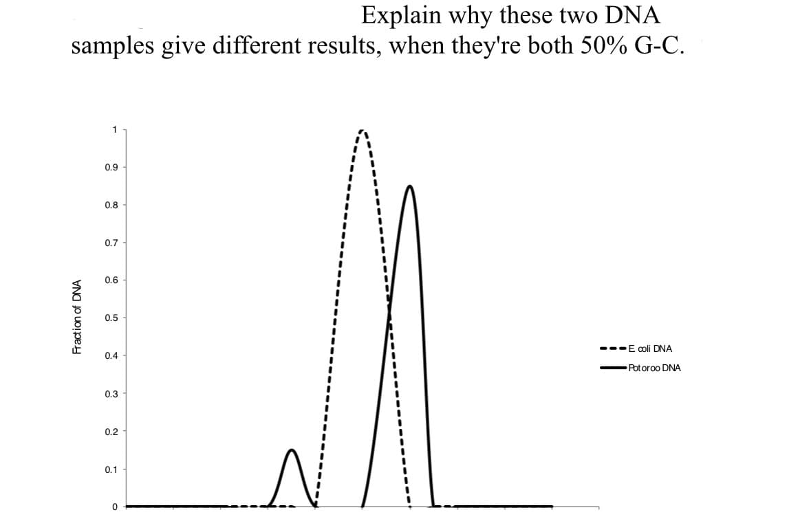 Explain why these two DNA
samples give different results, when they're both 50% G-C.
Fraction of DNA
1
0.9
0.8
0.7
0.6
0.5
0.4
0.3
0.2
0.1
0
---E coli DNA
Potoroo DNA