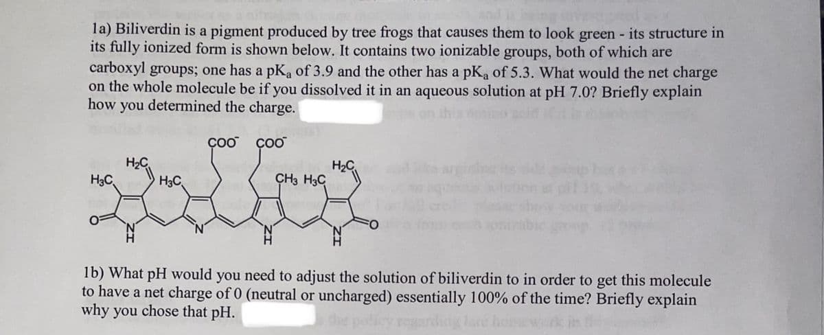 la) Biliverdin is a pigment produced by tree frogs that causes them to look green - its structure in
its fully ionized form is shown below. It contains two ionizable groups, both of which are
carboxyl groups; one has a pK₂ of 3.9 and the other has a pK₂ of 5.3. What would the net charge
on the whole molecule be if you dissolved it in an aqueous solution at pH 7.0? Briefly explain
how you determined the charge.
H3C
H₂C
N
H3C
COO COO
CH3 H3C
H₂C
FO
1b) What pH would you need to adjust the solution of biliverdin to in order to get this molecule
to have a net charge of 0 (neutral or uncharged) essentially 100% of the time? Briefly explain
why you chose that pH.
the policy regarding late