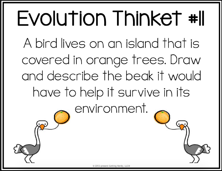 Evolution Thinket #|
A bird lives on an island that is
covered in orange trees. Draw
and describe the beak it would
have to help it survive in its
environment.
O 2012-present Getting Nerdy, LLCO
