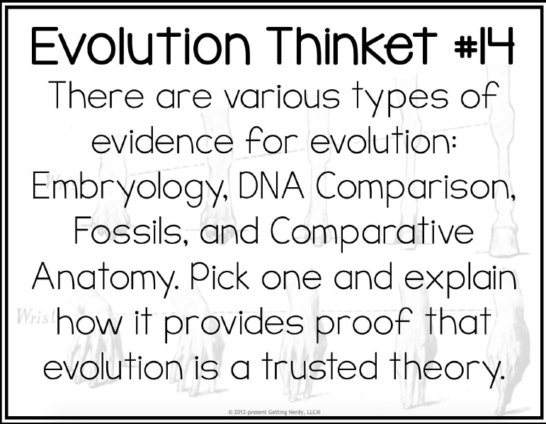 Evolution Thinket #4
There are various types of
evidence for evolution:
Embryology. DNA Comparison,
Fossils, and Comparative
Anatomy. Pick one and explain
Wis how it provides proof that
evolution is a trusted theory.
O 2012-present Getting Nerdy, LLCe
