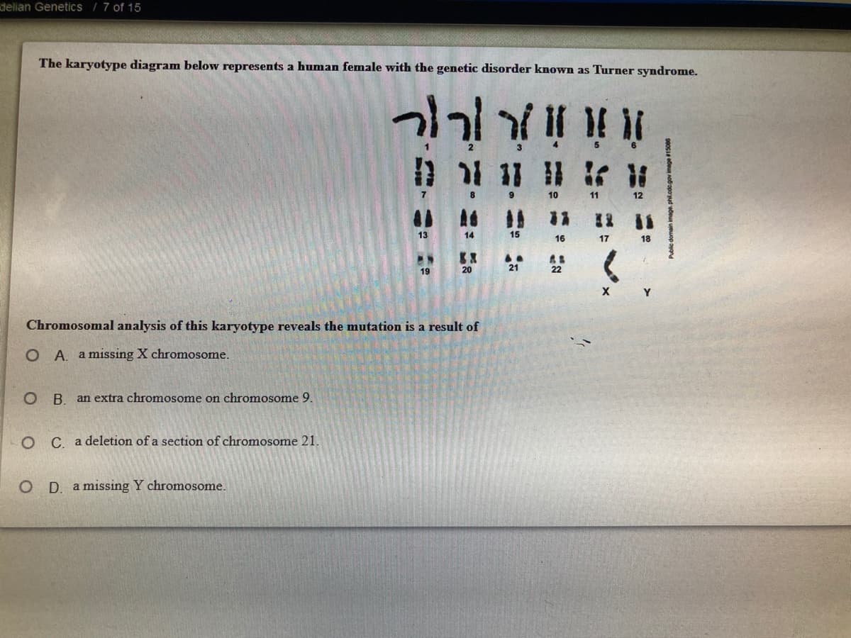 delian Genetics / 7 of 15
The karyotype diagram below represents a human female with the genetic disorder known as Turner syndrome.
5
10
11
12
13
14
15
16
17
18
20
21
22
19
Chromosomal analysis of this karyotype reveals the mutation is a result of
O A. a missing X chromosome.
O B an extra chromosome on chromosome 9.
LO C adeletion of a section of chromosome 21.
O D. a missing Y chromosome.
phil.cdc.gov image 15006
