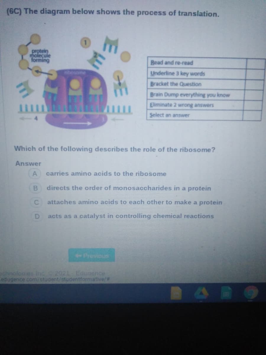 (6C) The diagram below shows the process of translation.
protein
moleçule
forming
Bead and re-read
ibosome
Underline 3 key words
Bracket the Question
Brain Dump everything you know
Eliminate 2 wrong answers
Select an answer
Which of the following describes the role of the ribosome?
Answer
carries amino acids to the ribosome
directs the order of monosaccharides in a protein
attaches amino acids to each other to make a protein
acts as a catalyst in controlling chemical reactions
Previous
achnologies Inc2021 Edugence
edugence com/student/studentformative/#
RARO
