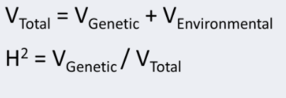 VTotal = VGenetic + Vei
%3D
Environmental
H? = VGenetic /
V Total
