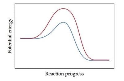 Reaction progress
Potential energy
