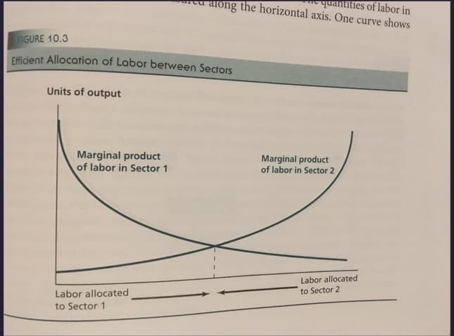 tities of labor in
along the horizontal axis. One curve shows
FIGURE 10.3
Efficient Allocation of Labor between Sectors
Units of output
Marginal product
of labor in Sector 1
Marginal product
of labor in Sector 2
Labor allocated
to Sector 1
Labor allocated
to Sector 2