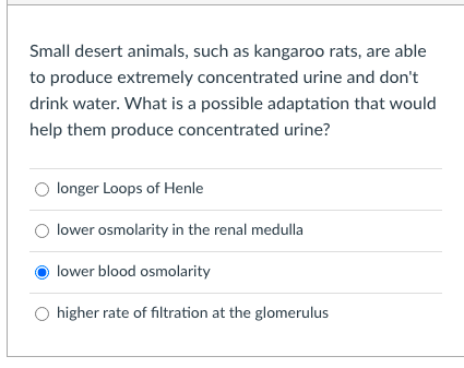 Small desert animals, such as kangaroo rats, are able
to produce extremely concentrated urine and don't
drink water. What is a possible adaptation that would
help them produce concentrated urine?
O longer Loops of Henle
O lower osmolarity in the renal medulla
lower blood osmolarity
O higher rate of filtration at the glomerulus
