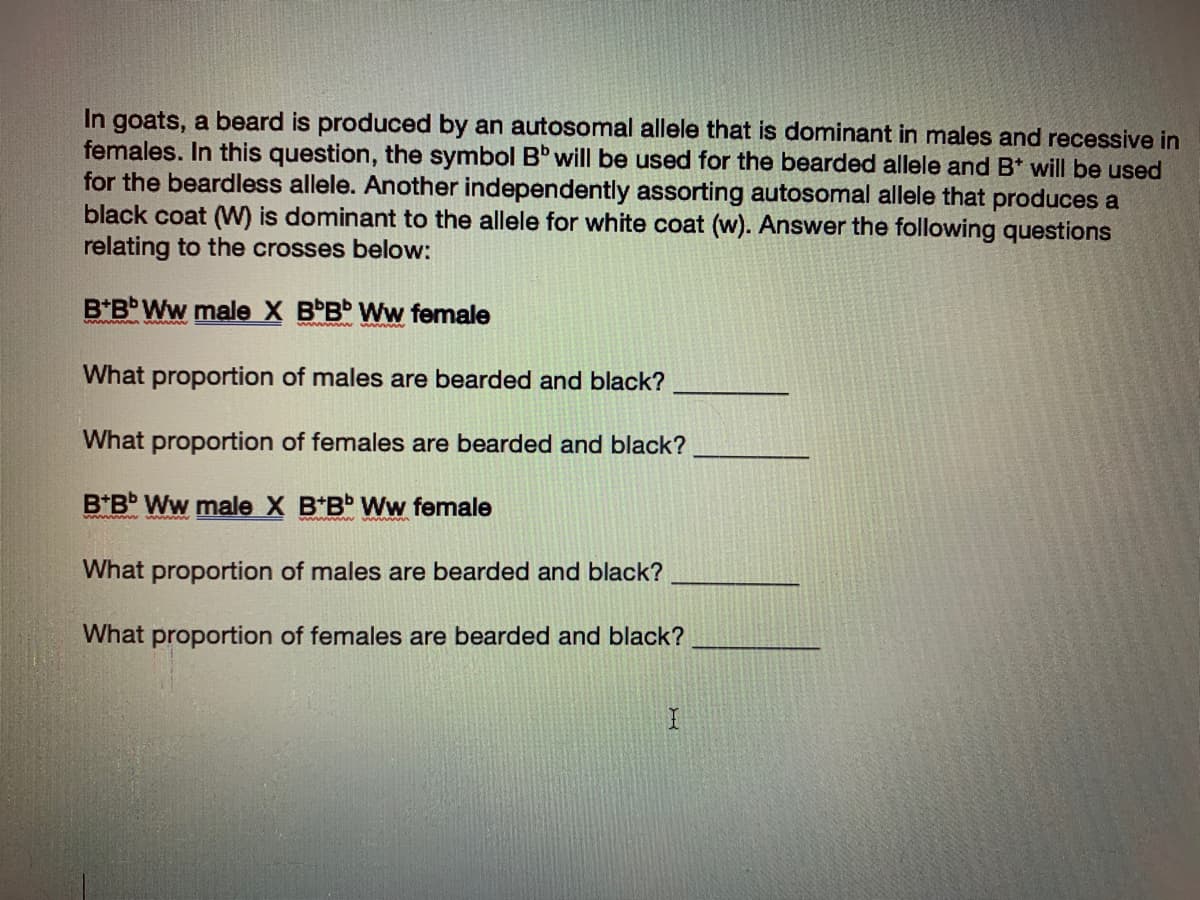 In goats, a beard is produced by an autosomal allele that is dominant in males and recessive in
females. In this question, the symbol B will be used for the bearded allele and B* will be used
for the beardless allele. Another independently assorting autosomal allele that produces a
black coat (W) is dominant to the allele for white coat (w). Answer the following questions
relating to the crosses below:
B*B Ww male X B B Ww female
What proportion of males are bearded and black?
What proportion of females are bearded and black?
B*B Ww male X B*Bb Ww female
What proportion of males are bearded and black?
What proportion of females are bearded and black?
