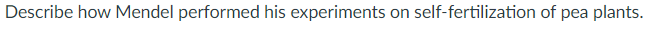 Describe how Mendel performed his experiments on self-fertilization of pea plants.