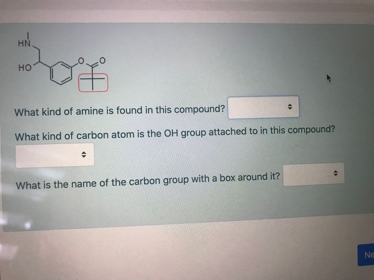 но
What kind of amine is found in this compound?
What kind of carbon atom is the OH group attached to in this compound?
What is the name of the carbon group with a box around it?
Ne
