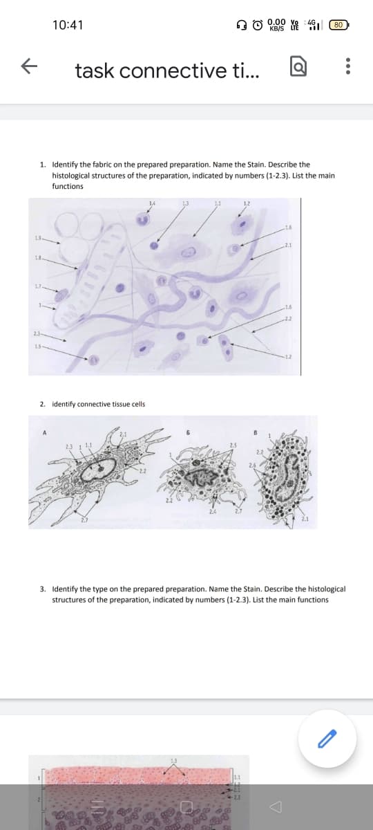 10:41
task connective ti...
1. Identify the fabric on the prepared preparation. Name the Stain. Describe the
histological structures of the preparation, indicated by numbers (1-2.3). List the main
functions
2. identify connective tissue cells
3. Identify the type on the prepared preparation. Name the Stain. Describe the histological
structures of the preparation, indicated by numbers (1-2.3). List the main functions
...
