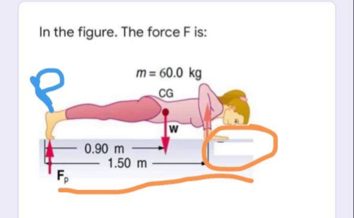 In the figure. The force F is:
m = 60.0 kg
P
CG
Fp
0.90 m
1.50 m
W