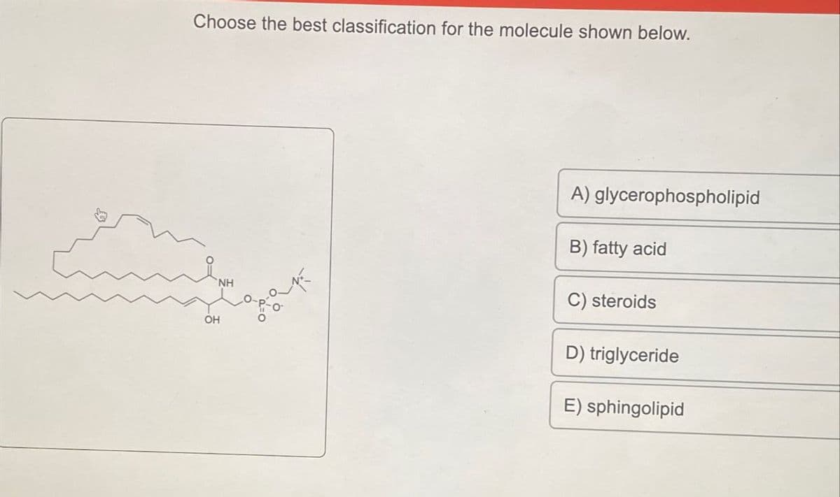 Choose the best classification for the molecule shown below.
OH
NH
A) glycerophospholipid
B) fatty acid
C) steroids
D) triglyceride
E) sphingolipid
