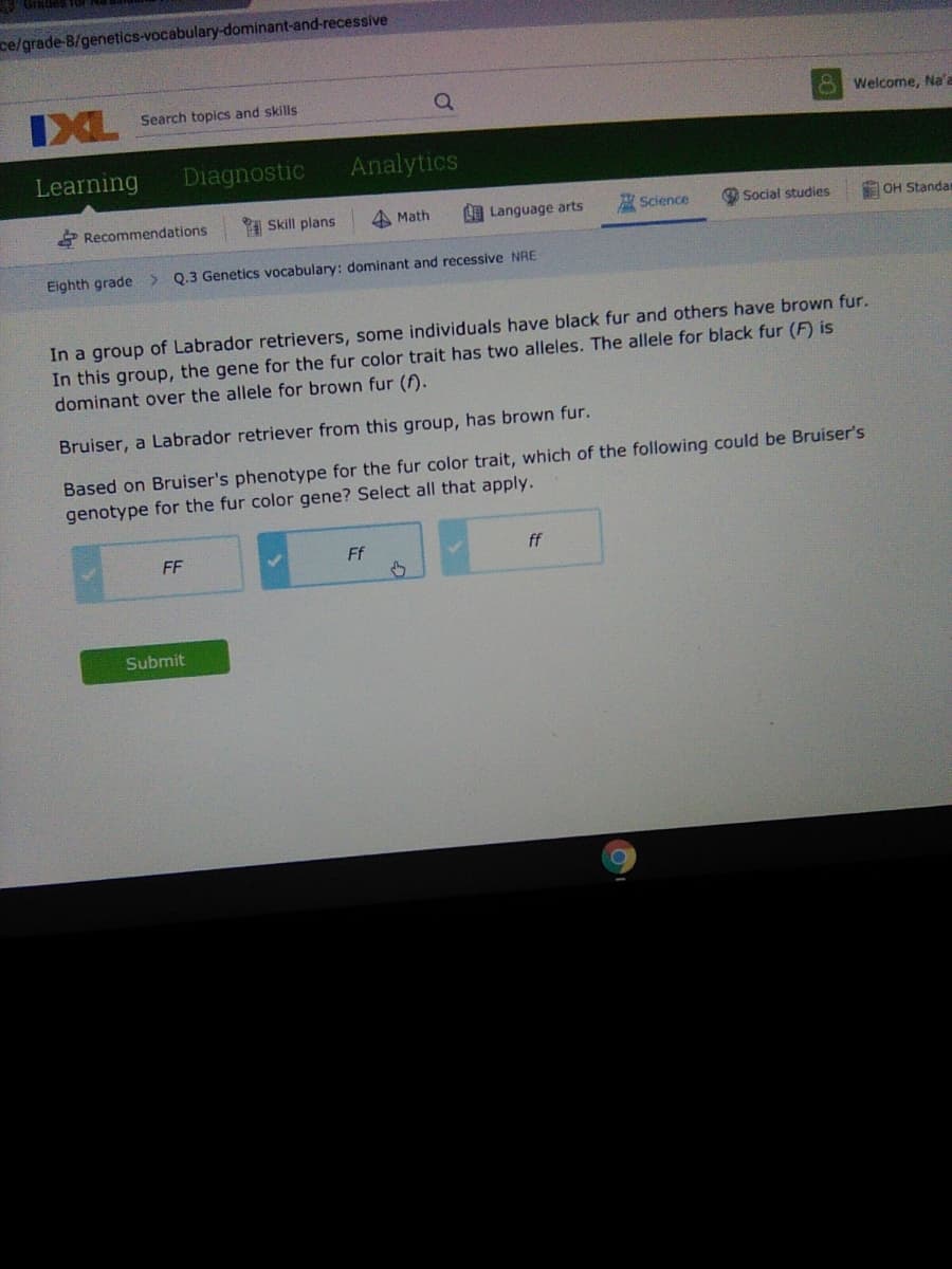 ce/grade-B/genetics-vocabulary-dominant-and-recessive
IXL
Search topics and skills
8 Welcome, Na'a
Learning
Diagnostic
Analytics
* Recommendations
I Skill plans
4 Math
LELanguage arts
I Science
Social studies
E OH Standar
Eighth grade
Q.3 Genetics vocabulary: dominant and recessive NRE
In a group of Labrador retrievers, some individuals have black fur and others have brown fur.
In this group, the gene for the fur color trait has two alleles. The allele for black fur (F) is
dominant over the allele for brown fur (f).
Bruiser, a Labrador retriever from this group, has brown fur.
Based on Bruiser's phenotype for the fur color trait, which of the following could be Bruiser's
genotype for the fur color gene? Select all that apply.
FF
Ff
ff
Submit
