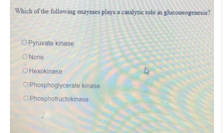Which of the following enzymes plays a catalytic role in gluconeogenesis?
O Pyruvate kinase
ONone
OHexokinase
OPhosphoglycerate kinase
OPhosphofructokinase
