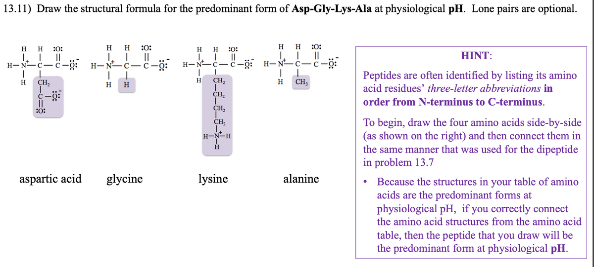 13.11) Draw the structural formula for the predominant form of Asp-Gly-Lys-Ala at physiological pH. Lone pairs are optional.
H
L
H-N-C
|
H
H
:0:
||
CH₂
C-Ö:
||
:0:
aspartic acid
H H :0:
| ||
C-O:
H-N-C-
1
H
H
glycine
H
L
H-N
H
H
:0:
:0:
||
L ||
c-c-Ö: H-NC-C-O:
CH3
H
CH₂
T
CH₂
T
CH₂
CH₂
H-N-H
H
lysine
I
H
H
alanine
HINT:
Peptides are often identified by listing its amino
acid residues' three-letter abbreviations in
order from N-terminus to C-terminus.
To begin, draw the four amino acids side-by-side
(as shown on the right) and then connect them in
the same manner that was used for the dipeptide
in problem 13.7
Because the structures in your table of amino
acids are the predominant forms at
physiological pH, if you correctly connect
the amino acid structures from the amino acid
table, then the peptide that you draw will be
the predominant form at physiological pH.