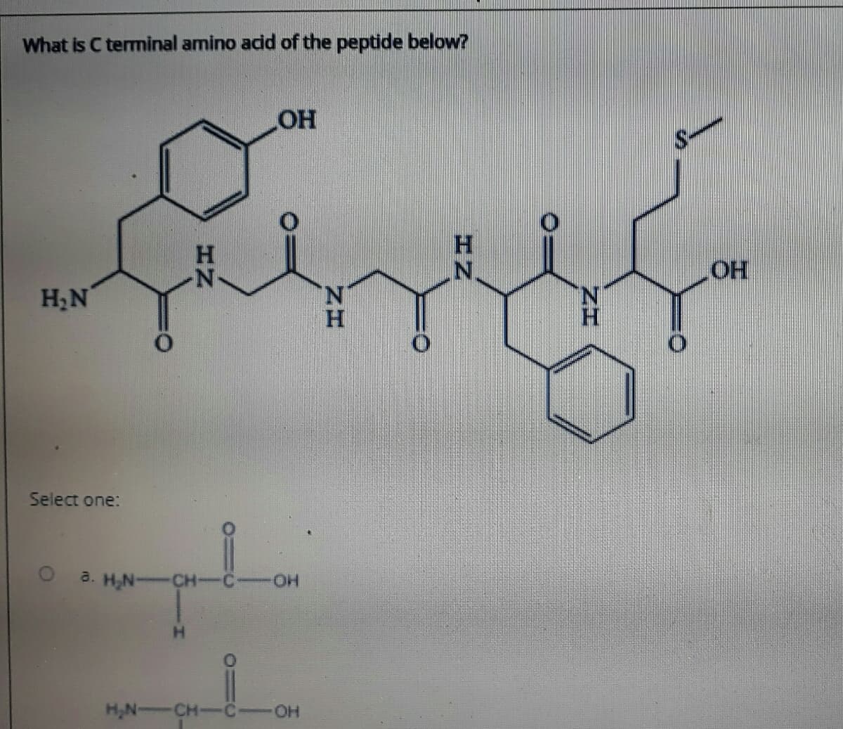 What is C terminal amino adid of the peptide below?
HO
N.
HO
H2N
N.
N.
Select one:
a. H,N-CH-
O
H,N-CH-C
OH
