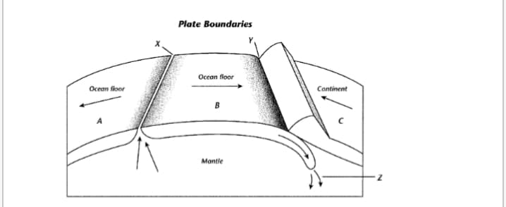 Plate Boundaries
Occan floor
Ocean floor
Continent
B
Mantle
