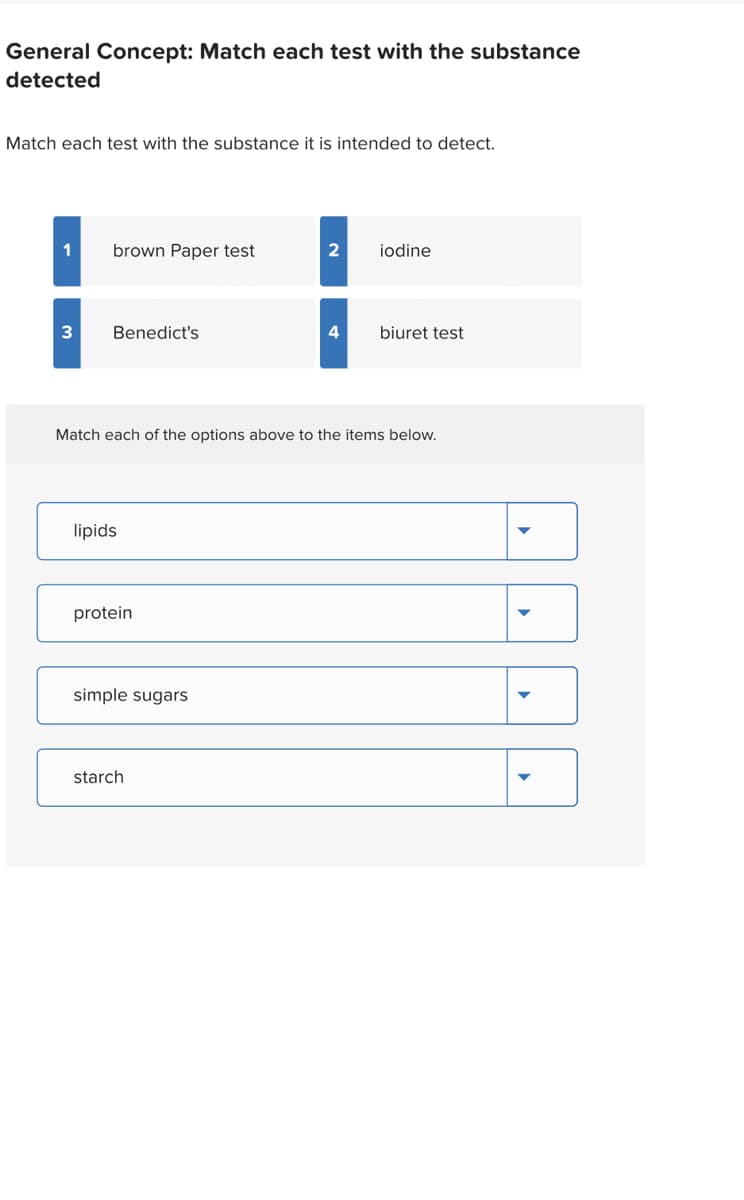 General Concept: Match each test with the substance
detected
Match each test with the substance it is intended to detect.
1
3
brown Paper test
Benedict's
lipids
protein
simple sugars
2
Match each of the options above to the items below.
starch
4
iodine
biuret test