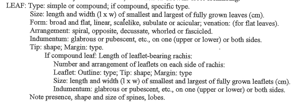 LEAF: Type: simple or compound; if compound, specific type.
Size: length and width (1 x w) of smallest and largest of fully grown leaves (cm).
Form: broad and flat, linear, scalelike, subulate or acicular; venation: (for flat leaves).
Arrangement: spiral, opposite, decussate, whorled or fascicled.
Indumentum: glabrous or pubescent, etc., on one (upper or lower) or both sides.
Tip: shape; Margin: type.
If compound leaf: Length of leaflet-bearing rachis:
Number and arrangement of leaflets on each side of rachis:
Leaflet: Outline: type; Tip: shape; Margin: type
Size: length and width (1x w) of smallest and largest of fully grown leaflets (cm).
Indumentum: glabrous or pubescent, etc., on one (upper or lower) or both sides.
Note presence, shape and size of spines, lobes.
