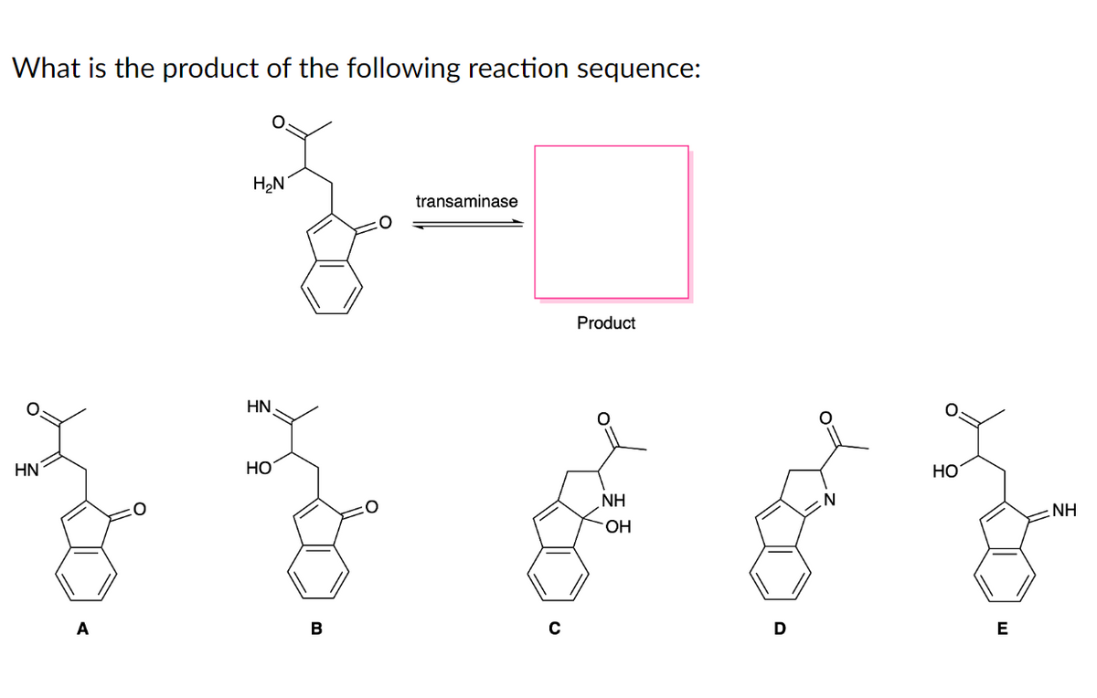 What is the product of the following reaction sequence:
HN
A
H₂N
HN
HO
B
O
transaminase
Product
NH
OH
D
N
HO
E
NH