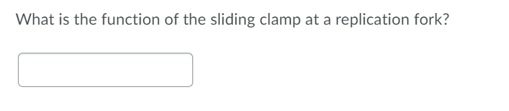 What is the function of the sliding clamp at a replication fork?
