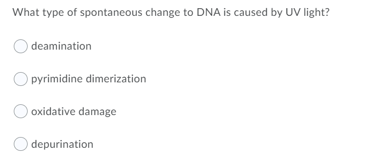 What type of spontaneous change to DNA is caused by UV light?
deamination
pyrimidine dimerization
oxidative damage
depurination
