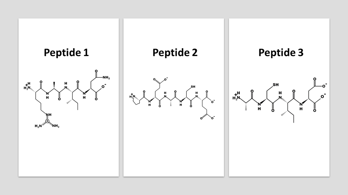 H₂N
Peptide 1
H
NH
NH₂
H
-NH₂
Peptide 2
alšíssię
SH
Peptide 3
SH
H