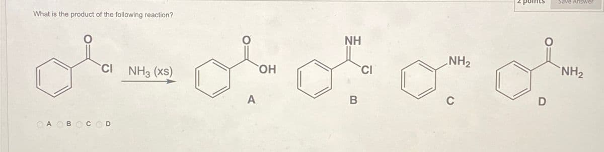 What is the product of the following reaction?
CI NH3 (XS)
A OBOCOD
Η
A
NH
B
CI
NH2
points
C
D
Save Answer
NH2