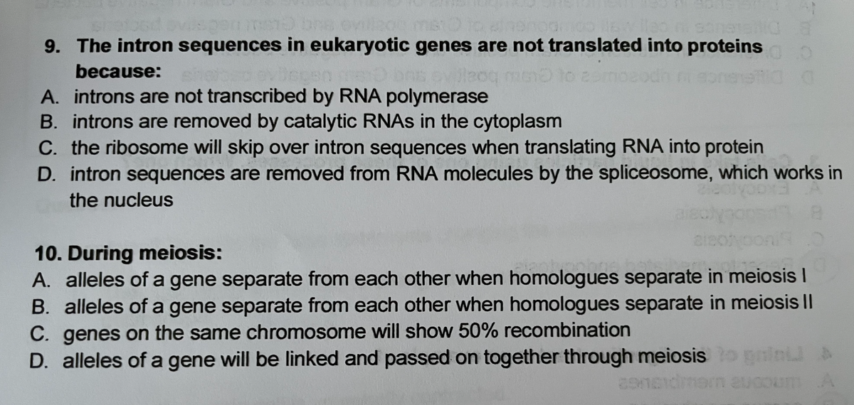 ons ov
mst
9. The intron sequences in eukaryotic genes are not translated into proteins
because:
A. introns are not transcribed by RNA polymerase
B. introns are removed by catalytic RNAS in the cytoplasm
C. the ribosome will skip over intron sequences when translating RNA into protein
D. intron sequences are removed from RNA molecules by the spliceosome, which works in
the nucleus
10. During meiosis:
A. alleles of a gene separate from each other when homologues separate in meiosis I
B. alleles of a gene separate from each other when homologues separate in meiosis ||
C. genes on the same chromosome will show 50% recombination
D. alleles of a gene will be linked and passed on together through meiosiso pain A
