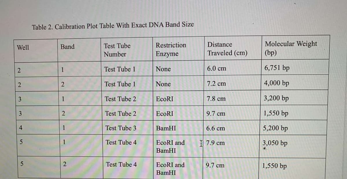 Table 2. Calibration Plot Table With Exact DNA Band Size
Molecular Weight
(bp)
Well
Band
Test Tube
Restriction
Distance
Number
Enzyme
Traveled (cm)
1
Test Tube 1
None
6.0 cm
6,751 bp
Test Tube 1
None
7.2 cm
4,000 bp
1
Test Tube 2
ЕcoRI
7.8 cm
3,200 bp
3
Test Tube 2
EcoRI
9.7 cm
1,550 bp
4.
1
Test Tube 3
BamHI
6.6 cm
5,200 bp
1
Test Tube 4
EcoRI and
I 7.9 cm
3,050 bp
BamHI
Test Tube 4
EcoRI and
9.7 cm
1,550 bp
BamHI
2.
2.
