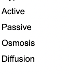 Active
Passive
Osmosis
Diffusion