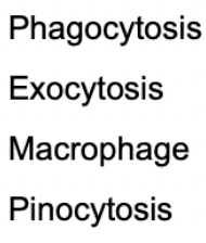 Phagocytosis
Exocytosis
Macrophage
Pinocytosis