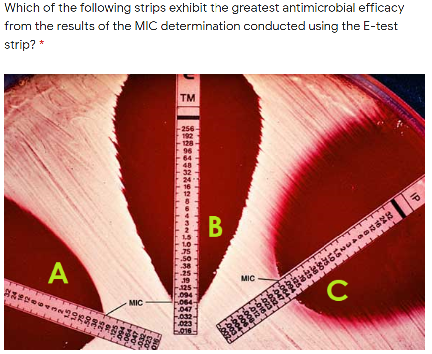 Which of the following strips exhibit the greatest antimicrobial efficacy
from the results of the MIC determination conducted using the E-test
strip? *
TM
256
192
128
96
64
48
32
24
16
12
8
IP
1,5
1.0
75
.50
38
25
19
125
094
064-
047
032-
023
L016-
A
MIC
法油な知おみSc,99a动%证
MIC
