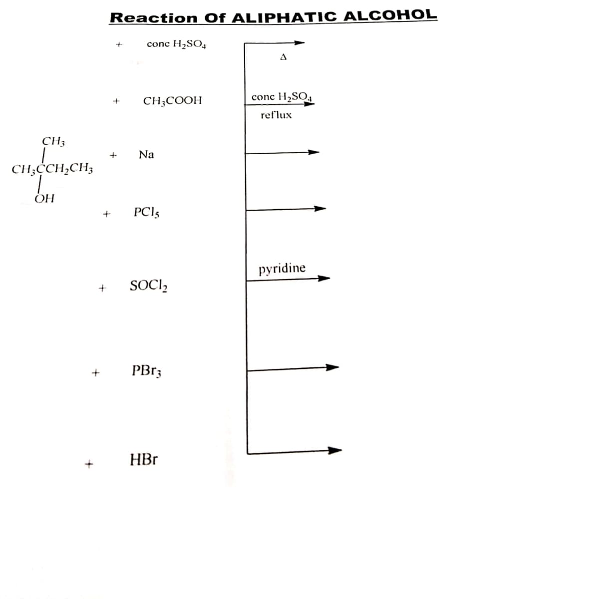 Reaction Of ALIPHATIC AL COHOL
conc H2SO4
CH;COOH
conc H2SO4
reflux
CH3
+
Na
CH;ĊCH,CH;
OH
PCI5
pyridine
SOCI,
PB13
HBr
